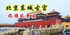女优自慰动态图中国北京-东城古宫旅游风景区